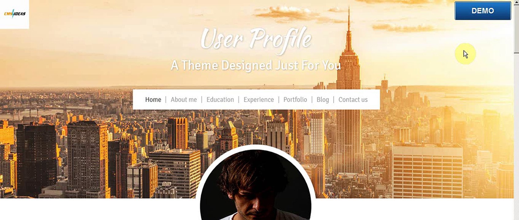 Demo 1 Best profile wordpress theme