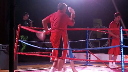 [ORIGINAL] Boxing Kangaroo Owns Woman