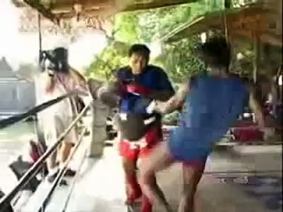 Buakaw Por Pramuk "Road to Victory"