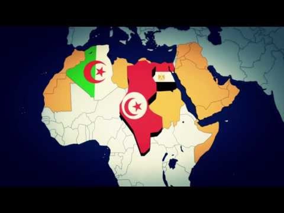 Army ousts first democratically elected president Mursi, constitution suspended