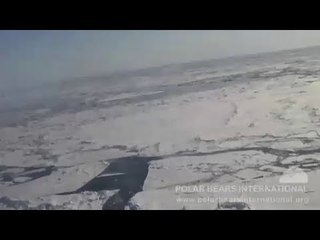 Tourists stranded on ice floe 12 kilometers from land in Canada's Arctic zone