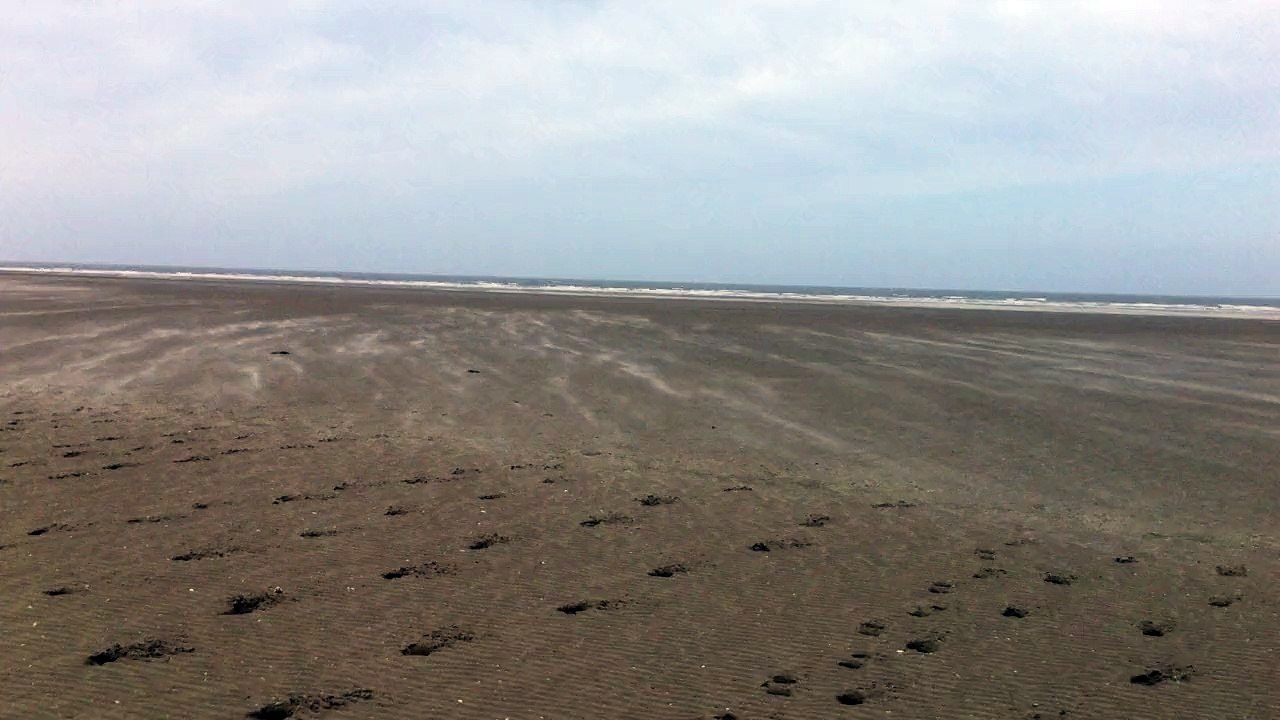15-05-09 - Plage Fort-Mahon 1