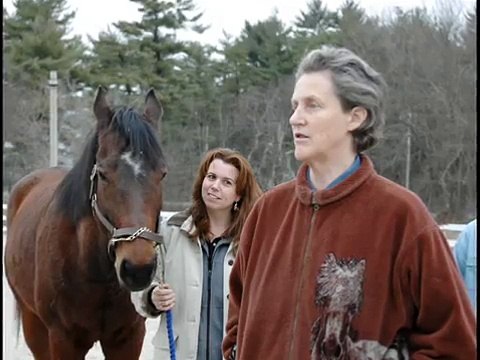 Dr Temple Grandin Visits T.H.E. FARM