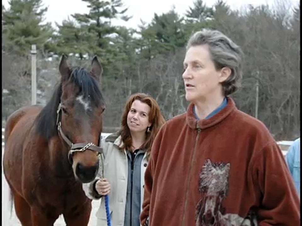 Dr Temple Grandin Visits T.H.E. FARM