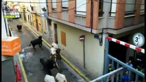 Terríveis imagens largada de touros em Vila-real PACMA