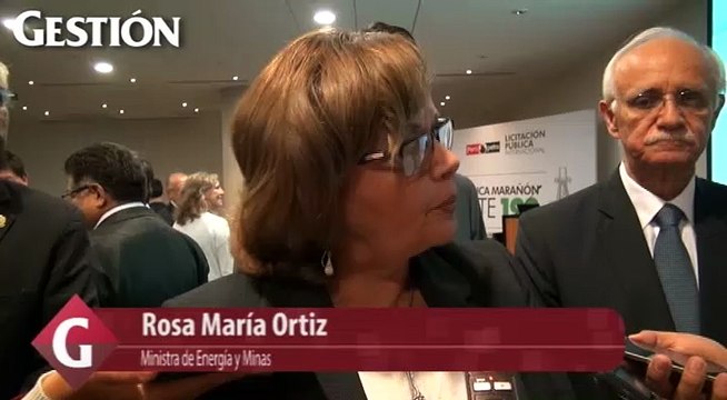MEM: 'No hay causal para suspender el proyecto Tía María'