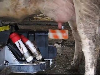 robot de traite Lely