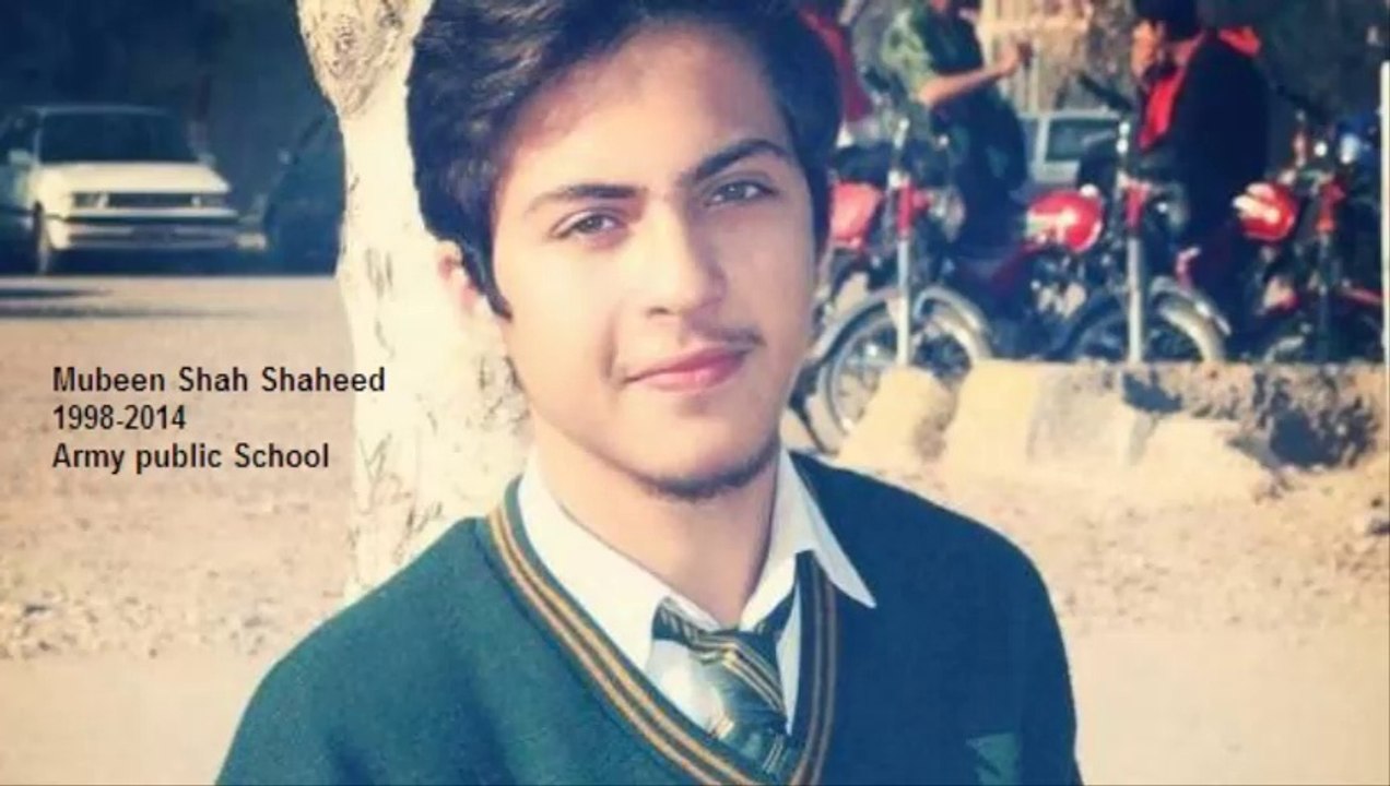 Pukhtun Shaheeds ( Mubeen shah Afridi and Many others)