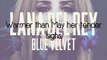 Blue Velvet - Lana Del Rey - Lyrics (Cover)