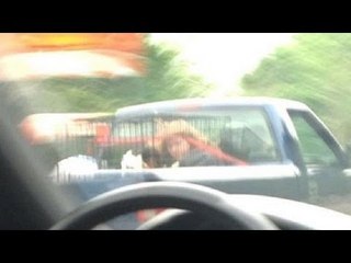 Parenting FAIL! Girl put in dog cage