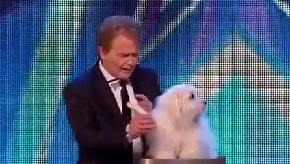 America's got talent Talking dog