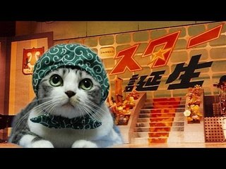 偽の芸能スカウトは泥棒　東京