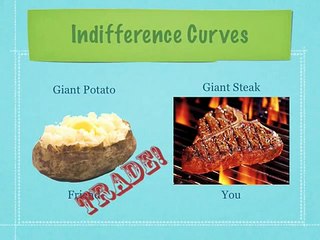 Introduction to Indifference Curves and Budget Lines Economics