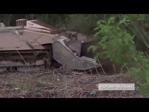 Honeybees clear landmines? insects could help in clearing of 1990s Balkans war minefields