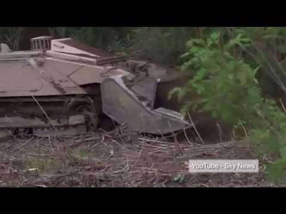 Honeybees clear landmines? insects could help in clearing of 1990s Balkans war minefields