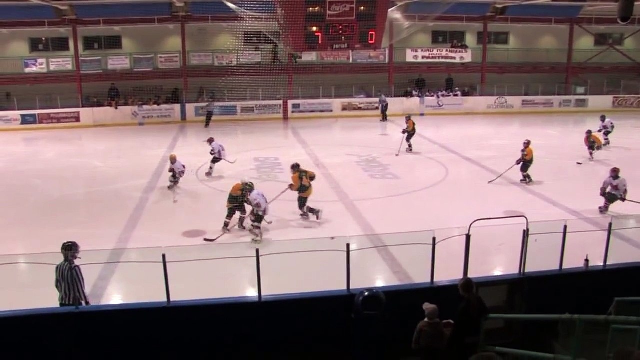 Big Hits Pee Wee Hockey