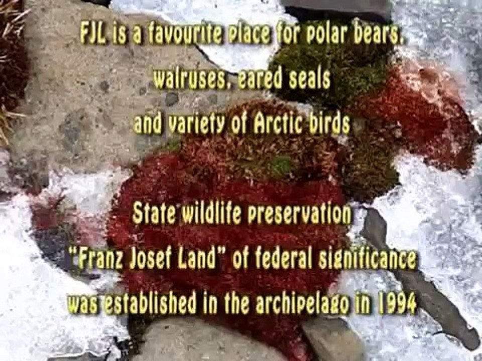 Franz Josef Land: Environmental Remediation in the Area of Decommissioned Military Bases