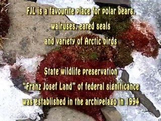 Franz Josef Land: Environmental Remediation in the Area of Decommissioned Military Bases