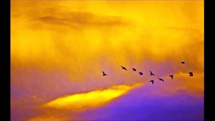 Marconi Union - Weightless