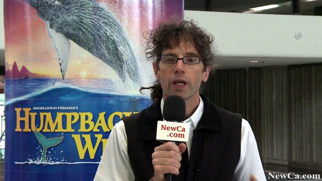 NewCa.com: 2015 OSC. Humpback Whales. Beauty of Humpbacks