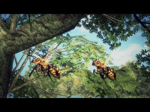 Neonicotinoids banned in EU: How they harm bees