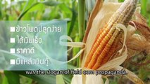 Poverty-Environment Initiative in Nan, Thailand (English subtitles)