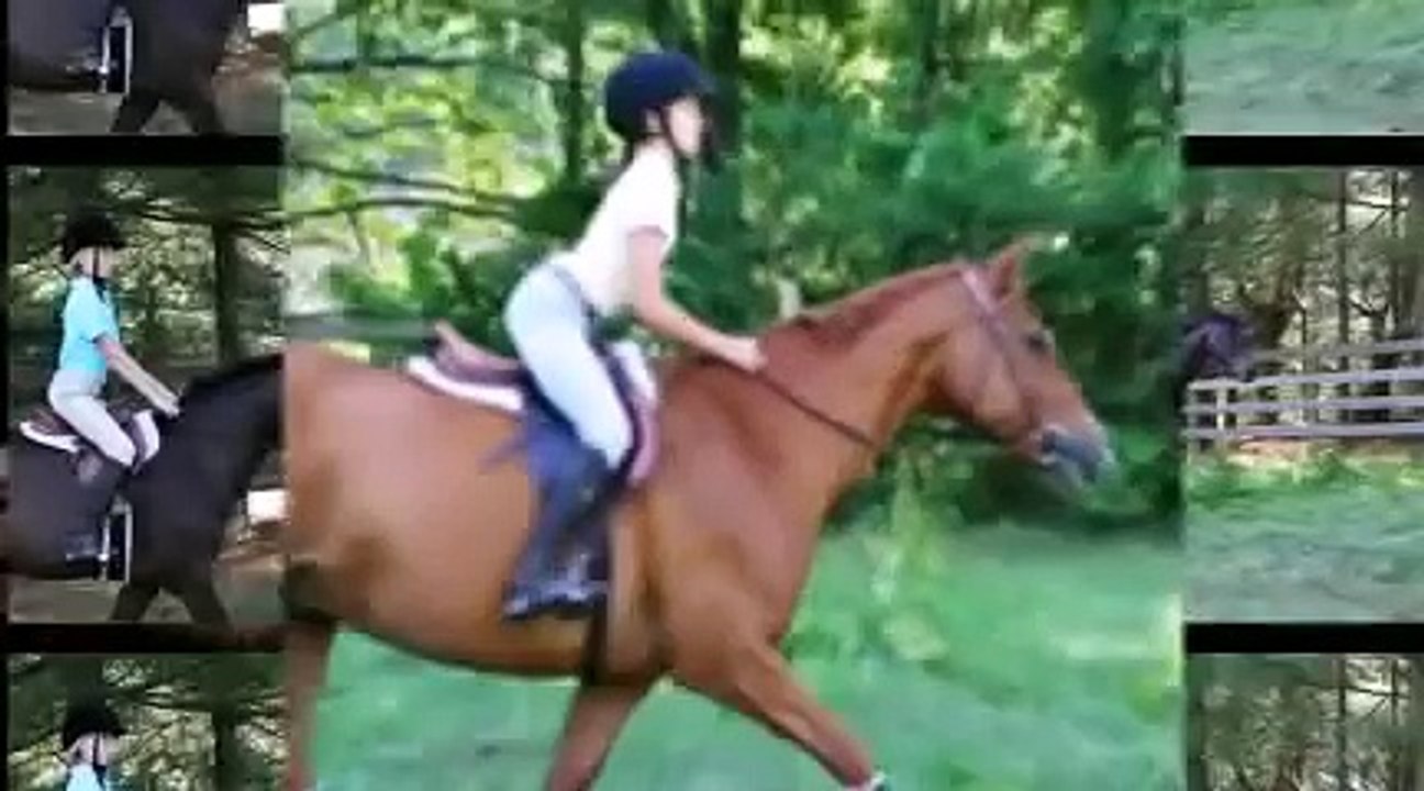 Girls Summer Horse Camp Rockbrook