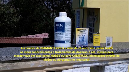 DIAMANTE GOLD - 4 tratamentos para o SUCESSO
