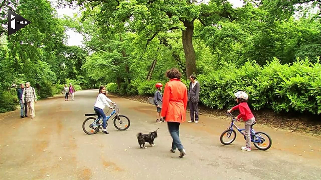 Allerte aux pollens dans le sud de la France