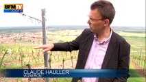 Alsace: la grêle ruine le vignoble, 350.000 bouteilles perdues