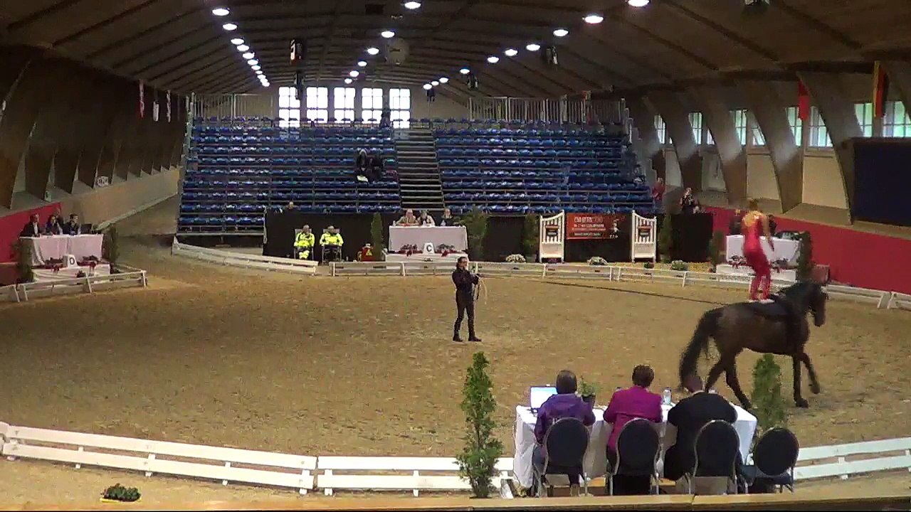 CVI Bern 2015 (REPLAY) - Friday 08:30 - 12:30 - Compulsory CVIJ1*,  CVIJ2*, CVI1*, CVI2'