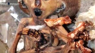 Alien momie  dans un laboratoire abandonner.Russie