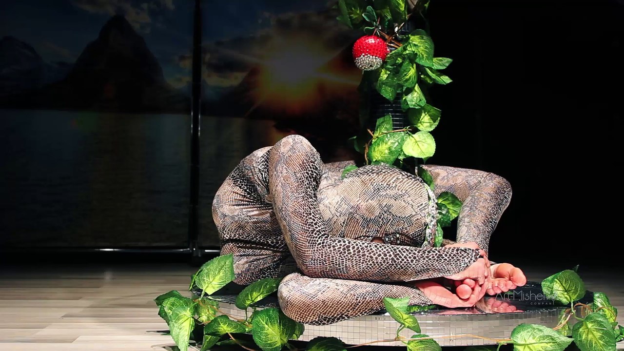 "История одного ангела" - Эстрадно-цирковая шоу-программа.