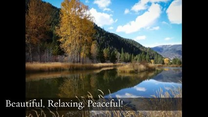 Vacation Rental Cabin Montana