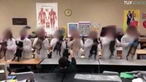 Danse des chats morts par des étudiants véto