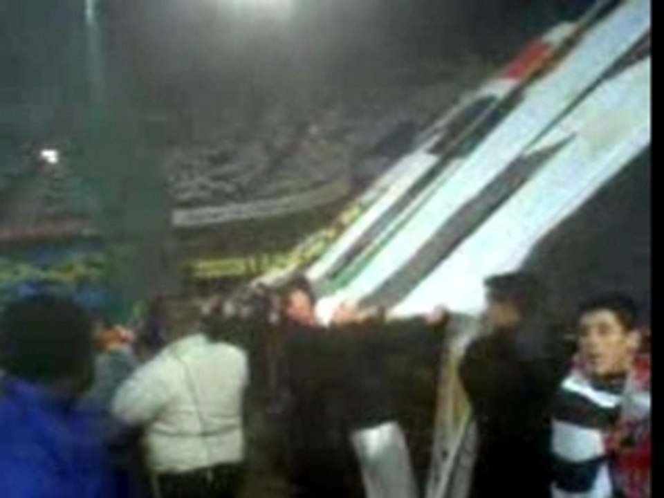 Tifo rck