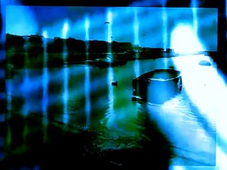 John Conti Modest - ducks winter in Porto Cesareo