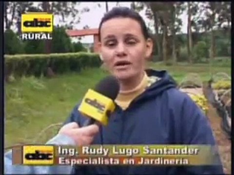 Cuidados de plantas ornamentales