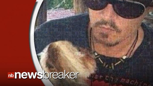 Johnny Depp's Dogs Sent On Plane Back to U.S. After Illegally Entering Australia
