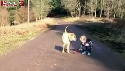 Скачать видео: Böyle sadık köpek görülmedi