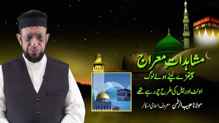 چیتھڑے لپٹے ہوۓ لوگ اونٹ اور بیل کئ طرح چر رہے تھے - ۔مولانا حبیب الرحمٰن