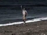 سمكة قرش تلتهم رجل على الشاطئ - مرررعب