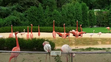 백퍼센트사업자일수Mm oio 6469 8957