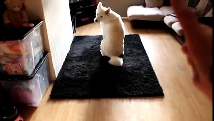 특급우대여성일수Mm oio 6469 8957