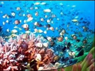 백프로누구나 무직자일수Mm oio 6469 8957