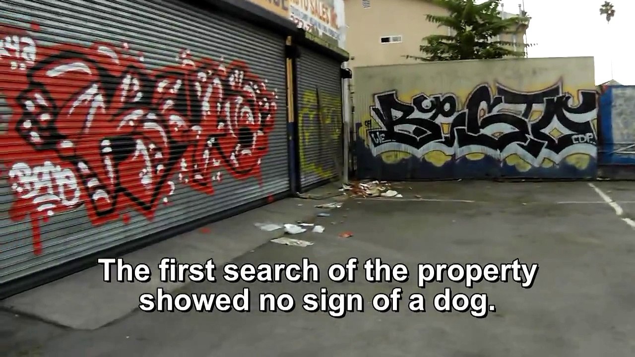 Please help Fiona see again.  Surgery is urgently needed.  Please share this video & Subscribe