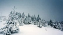 Beautiful Winter Landscape With Snow Covered Trees. Carpathian, Ukraine. Time Lapse