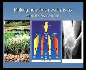 Maey Oh Maey (The Water Song)