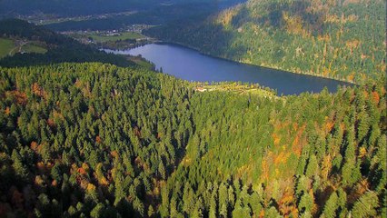 Les Vosges vues du ciel