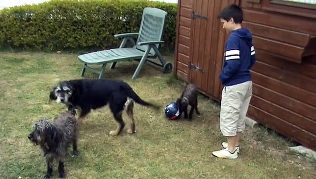 Belle Dune Berck sur Mer du 23 au 26 avril 2015